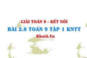 Bài 2.8 SGK Toán 9 tập 1 Kết nối tri thức
